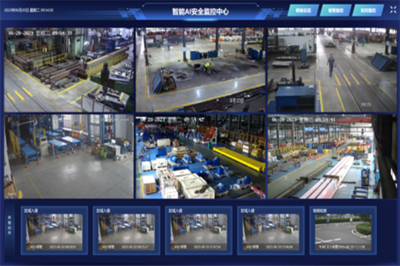 特色党建品牌展播 | 人工智能党支部 数智引领 共创未来 安全系统监控服务